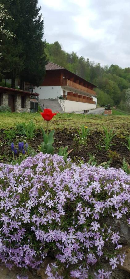 B&B Zlatna Nit Bosanska Krupa Eksteriør billede