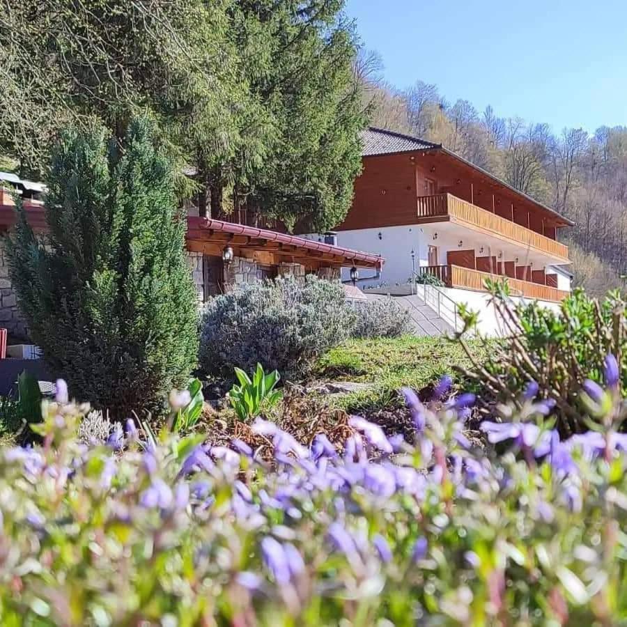 B&B Zlatna Nit Bosanska Krupa Eksteriør billede